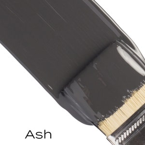 Pu&ograve; includere: Un primo piano di un pennello con una pennellata di colore grigio. La vernice &egrave; di colore grigio scuro e ha una finitura liscia e lucida. Il testo "Ash" &egrave; visibile sotto la pennellata.