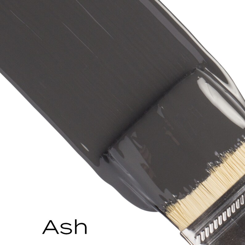 Pu&ograve; includere: Un primo piano di un pennello con una pennellata di colore grigio. La vernice &egrave; di colore grigio scuro e ha una finitura liscia e lucida. Il testo "Ash" &egrave; visibile sotto la pennellata.