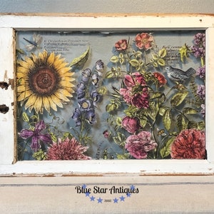 Botanist Journal IOD Transfer * Iron Orchid Designs Floral Garden Full Color Sunflower Decor Transfer