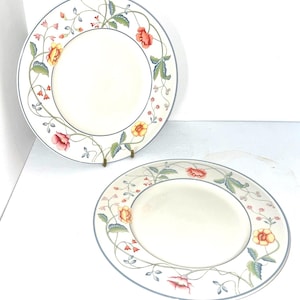 ビレロイ・ボッホ ディナープレート 10 1/2インチ 2枚セット