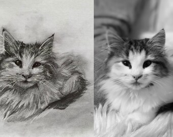 Custom Handmade Dog and Cat Pet Portrait Drawing | Mini/Big | Personalized Gift | Colour/Black & White Pencil | Local Artist, Fast Delivery