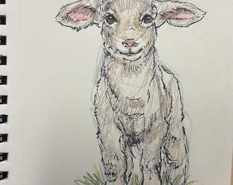 Stampa artistica di agnello / Illustrazione a matita colorata (5x8)