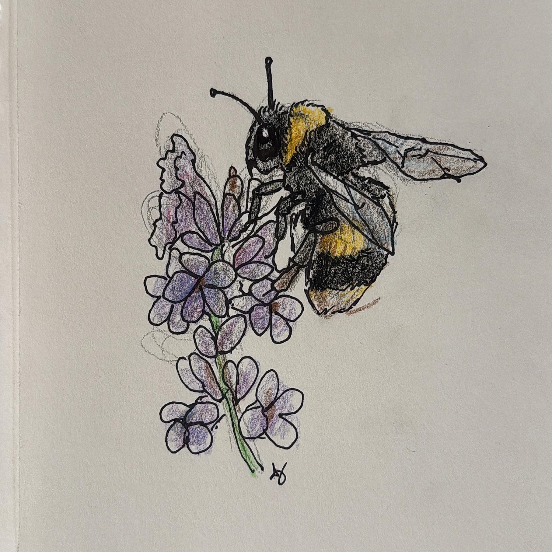 Bumble Bee Art Print, Colored Pencil & Ink Drawing (5x8in.) - Etsy