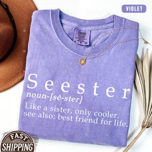 May include: A purple t-shirt with the word "Seester" defined as "Like a sister, only cooler. See also: best friend for life."