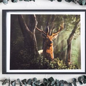 Elk Wall Art | Elk Art Print | Digital Painting | Wildlife Art | Giclee Print | Drawn by Macon Bentley