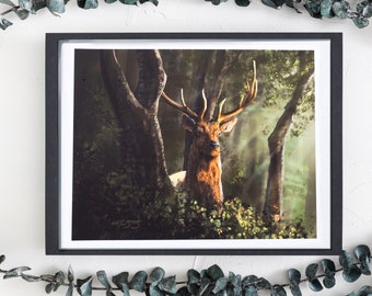 Elk Wall Art | Elk Art Print | Digital Painting | Wildlife Art | Giclee Print | Drawn by Macon Bentley