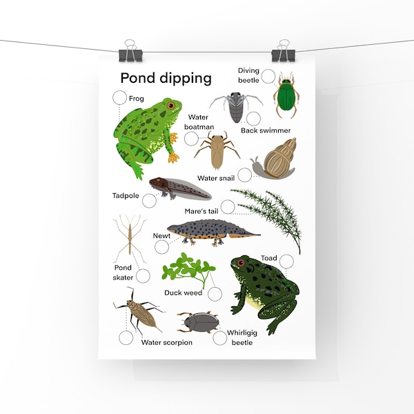 Pond Life Discovery Etsy