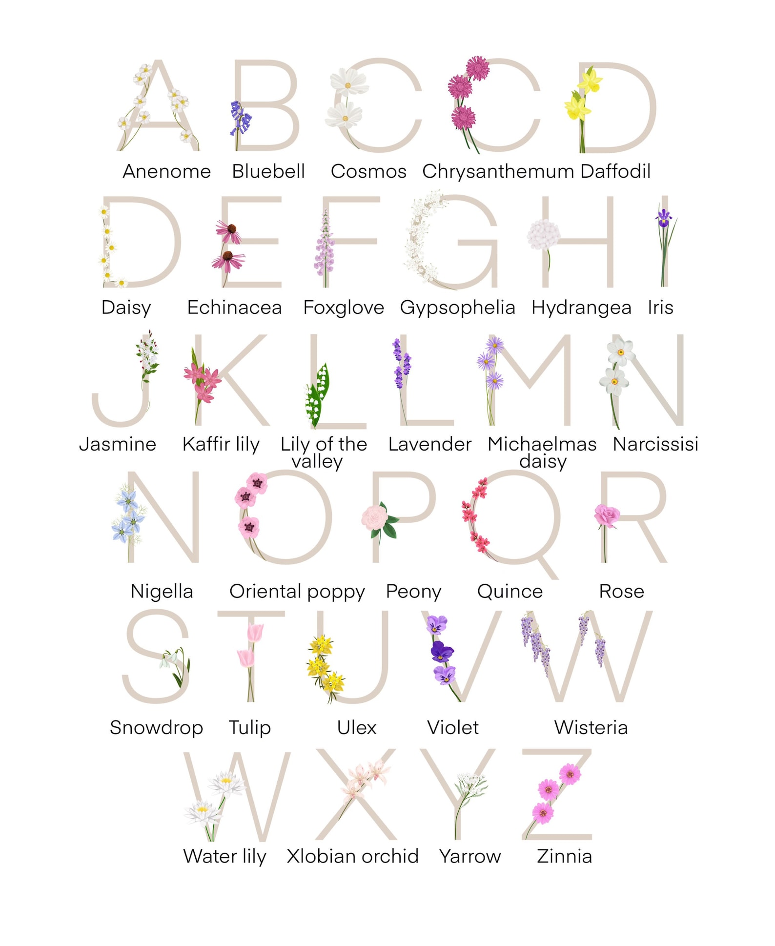 Flower Name Print Flower Letters Flower Illustration Etsy Flower Name Print Flower Letters Flower Illustration Etsy