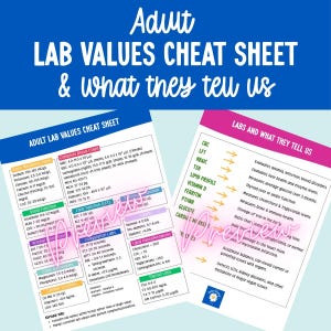 Puede incluir: Dos hojas de referencia educativas blancas tituladas Adult Lab Values Cheat Sheet y Labs and What They Tell Us. Los documentos presentan tablas organizadas con terminología médica, rangos numéricos y descripciones de pruebas de laboratorio.