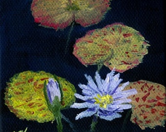 Water Lily Pond No. 2