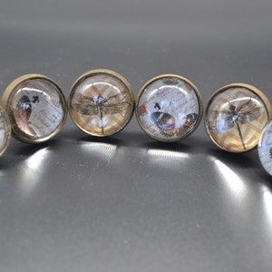 Puede incluir: Seis pomos redondos de armario de color bronce con inserciones de vidrio. Cada pomo presenta una imagen diferente de una libélula o una mariposa sobre un fondo estampado.