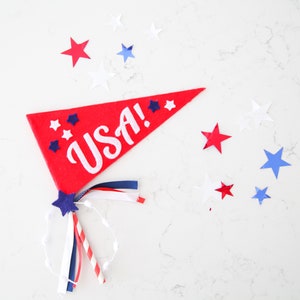 4th of July Pennant, USA Flag, July 4th Decor, Felt Pennant, Parade and Party Flag, Patriotic Flag, Independence Day decoration