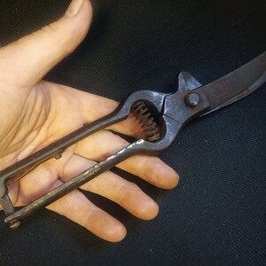 Könnte beinhalten: Eine rostige Metall-Handschere mit einem Federmechanismus. Die Schere wird in einer Hand gehalten, die Klingen sind geschlossen.