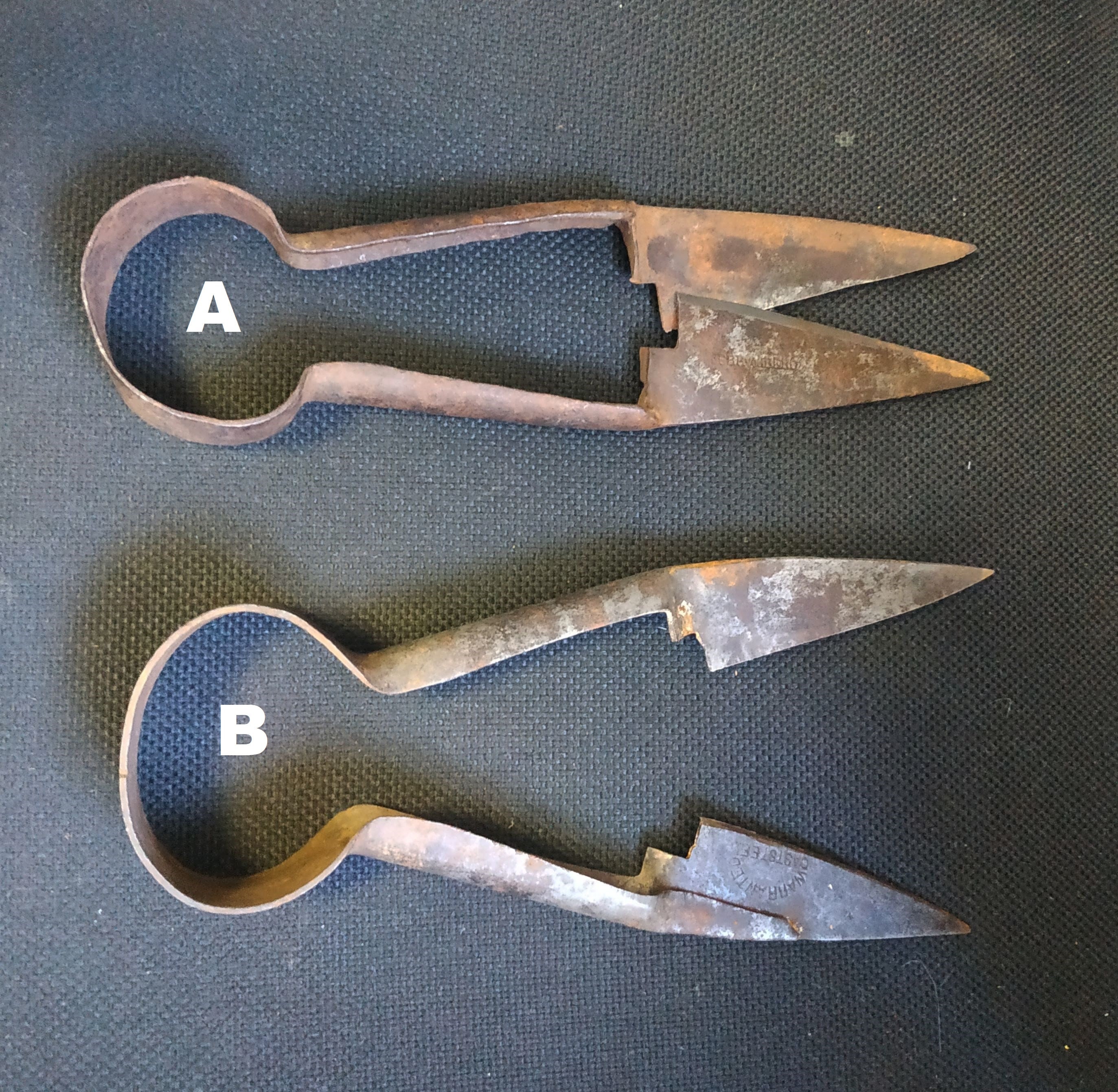 Lister Sheep Shears for sale 47 ads for used Lister Sheep Shears