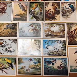 Set of 16 Vintage Post Cards USSR different bird pictures.