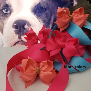 May include: Assortment of colorful hair bows in pink, coral, and turquoise. The bows are made of ribbon and have a gold center. The text "More colors" is visible in the image.