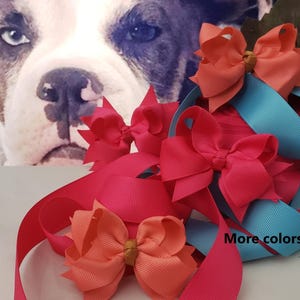 Handmade Dog Hair Bows 3 — 3.5 Inch — Medium Dog Grosgrain Groomer Bows — Collar Bows for Boarder Collies