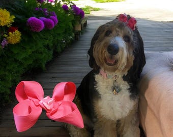 Dog Hair Bows Spoil Me Two, Boutique Hair Bow Collection for Kids and Pets