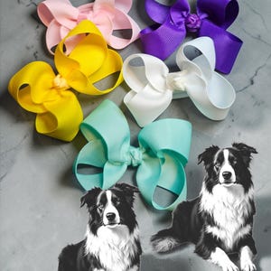 Medium Breed Dog Hair Bows - 3—3.5 Inch Boutique Style Top Knot Groomer Clips