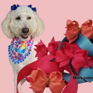 Large Dog Hair Bows - 4—4.5 Inch Boutique Collar Attachment Top Knot for Doodles