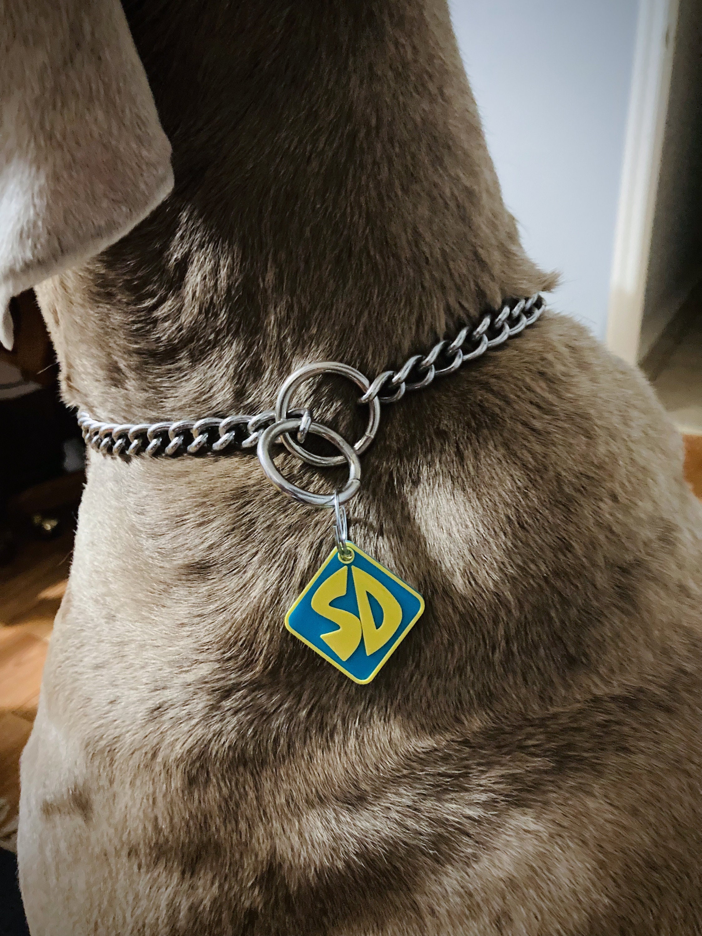 scooby doo dog id tags