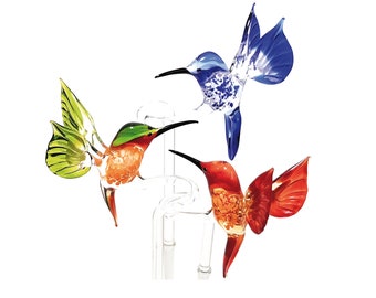 Orchideestok/houder van glas Kolibri