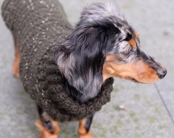 dachshund turtleneck