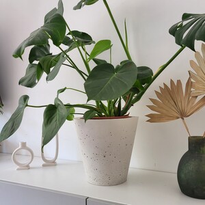 Könnte beinhalten: Eine Monstera-Pflanze im Topf mit großen, grünen Blättern in einem weißen, gesprenkelten Betontopf. Die Pflanze steht auf einer weißen Oberfläche.