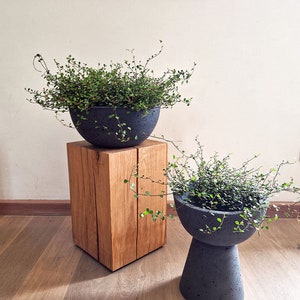 May include: Two gray concrete planters with green plants on a wooden stand. The larger planter is a bowl shape and the smaller planter is a tall, round shape.