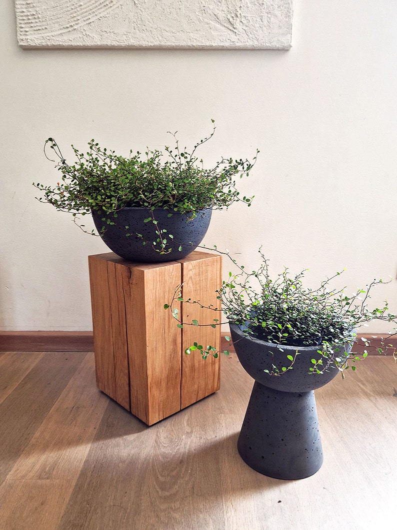 May include: Two gray concrete planters with green plants on a wooden stand. The larger planter is a bowl shape and the smaller planter is a tall, round shape.