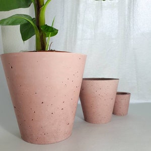 Könnte beinhalten: Drei rosafarbene Beton-Blumentöpfe in verschiedenen Größen. Der größte Topf enthält eine kleine Bananenpflanze mit grünen Blättern.