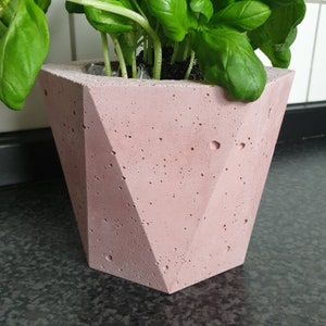 Könnte beinhalten: Ein rosafarbener geometrischer Betontopf mit einer grünen Pflanze, die darin wächst. Der Topf hat eine raue, strukturierte Oberfläche.