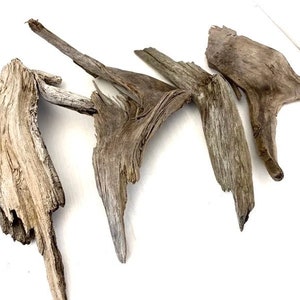 Unique Driftwood Pieces, Craft Supplies, Rustic Wedding Decor