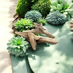 Hand-Cleaned Driftwood Pieces (8.6-9.8 in) - DIY Crafts & Decor