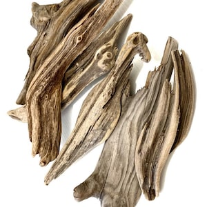 Baltic Sea Driftwood Pieces: Small DIY Beach Art Supplies (9-12.5 cm, 15pc Set)
