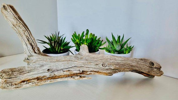 UNIQUE Big Branch, Wood Decorations, Home Decor, Wood Crafts, Wedding  Decorm, Aquarium, Terrarium 