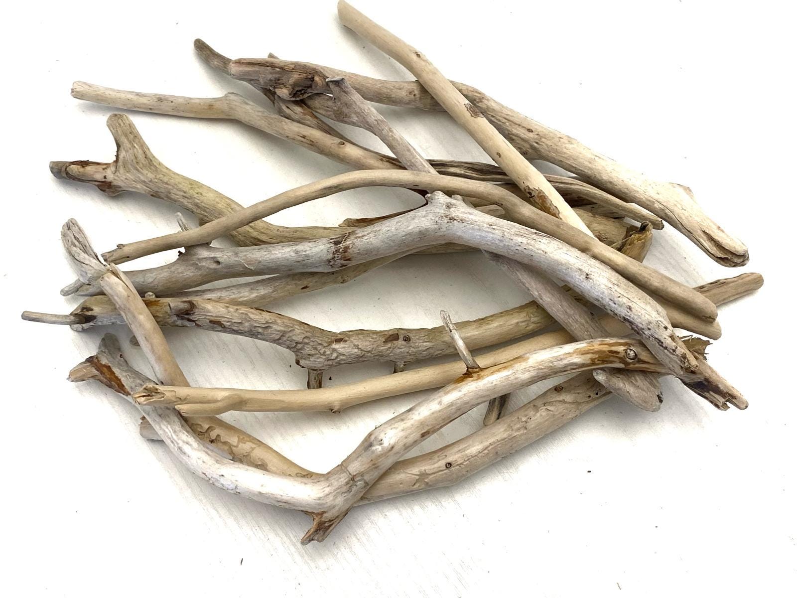 天然装飾枝：海岸の工芸品、素朴な装飾（7～9インチ） - Etsy 日本