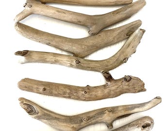 9 zeldzame takken van drijfhout – Kustambachten, woondecoratie (17-22 cm)