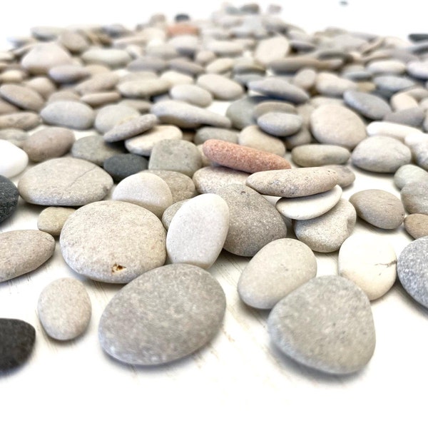 250 Winzige, kleine flache Steine 0,5–2 cm. Sehr kleine Seesteine, Mosaikkiesel, Wohnkultur im Küstenstil und Steinvasenfüller.