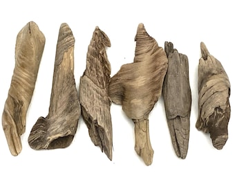 Unique driftwood for creativity. A unique set of angel wings. Craft Supplies.Rustic Wedding Decor