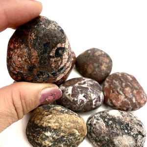 Baltic Sea Beach Stones: Unique Aquarium & Garden Decor, Set of 8