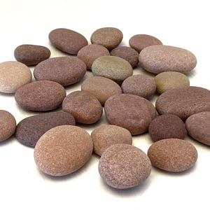 25 Baltic Sea Beach Stones: Orange Craft Pebbles, Fish Tank Decor