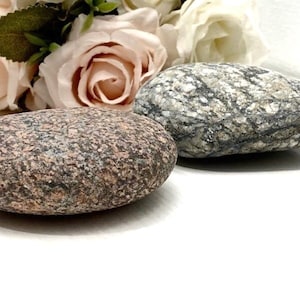Large Beach Stones: Unique Terrarium Garden Decor, Aquarium Rocks