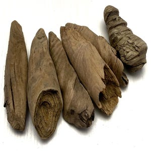 Baltic Sea Driftwood Pieces: Natural Beach Decor, DIY Crafts (3.9 -5.5&#39;&#39;)
