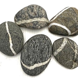 Striped Beach Stones: Large Decorative Sea Pebbles, Aquarium Decor