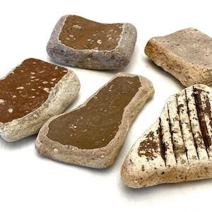 Puede incluir: Cinco piedras planas de forma irregular con una superficie rugosa y texturizada. Las piedras son de varios tonos de marrón, beige y blanco. Algunas de las piedras tienen un patrón de líneas o puntos en su superficie.