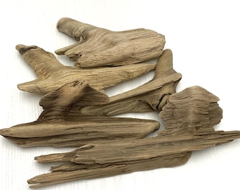5 Driftwood Pieces: Beach Art, Rustic Decor (5.5 - 10.2")