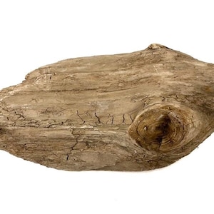 Weathered Driftwood Piece 9.8&quot; - Beach Decor, Coastal Crafts