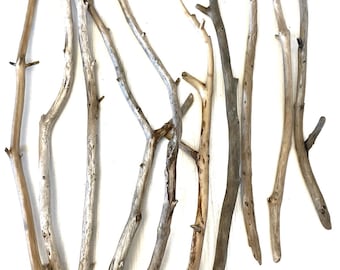 Baltic Sea Driftwood Branches (14.5 - 18.5''), Rustic Vase Fillers, Boho Home Decor