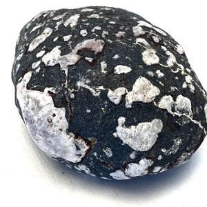 Large Black Speckled Beach Stone: Baltic Sea Treasure, Fish Tank Decor